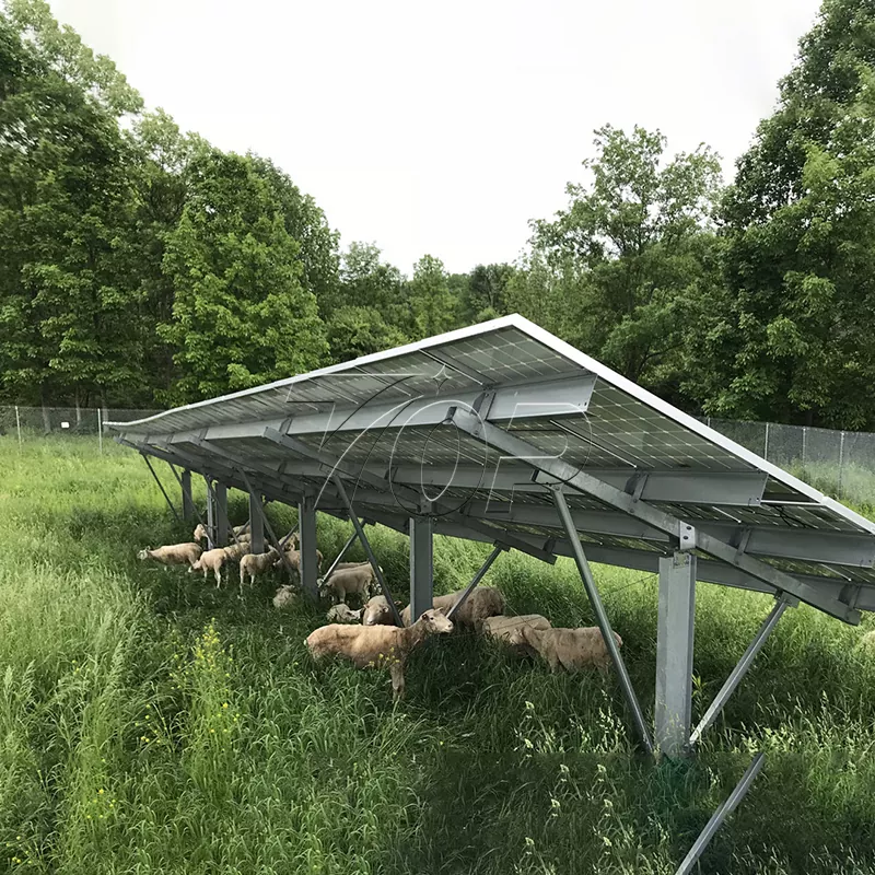 Päikesepaneelid taludele: põllumajanduse energiasäästlikkuse tõstmine kõrgemale tasemele!